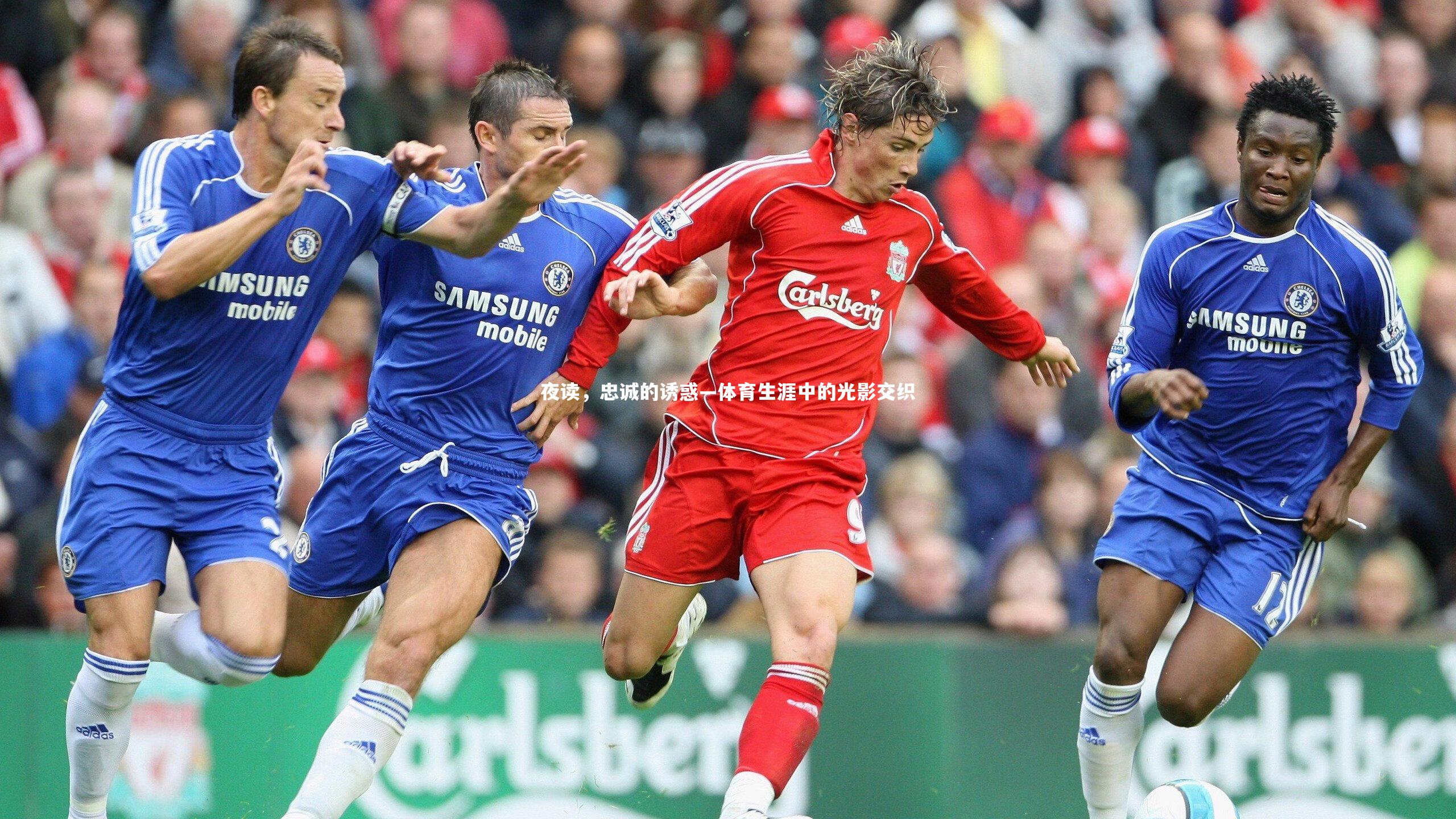 夜读，忠诚的诱惑—体育生涯中的光影交织